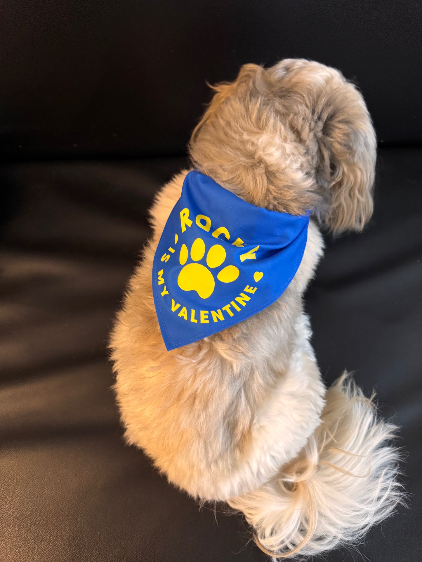 Personalized Dog Bandana