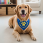 Personalized Dog Bandana