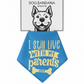Personalized Dog Bandana