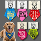 Collection of colorful dog bandanas with text and a dog wearing one, on a gray background.